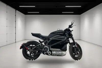 Vos Motors -No Payments for 1 Year Experience the thrill of cutting-edge electric performance with t...