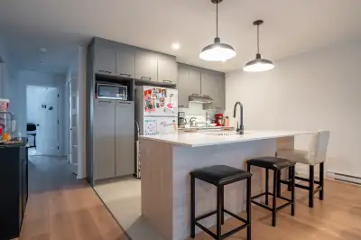 5 1/2 Waterloo - Immeuble récent - 1er juillet