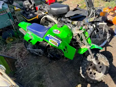 YES STILL AVAILABLE DELETED WHEN SOLD. LOCATED 20 MIN EAST OF EDMONTON. PHONE CALLS ONLY PLEASE. CAL...