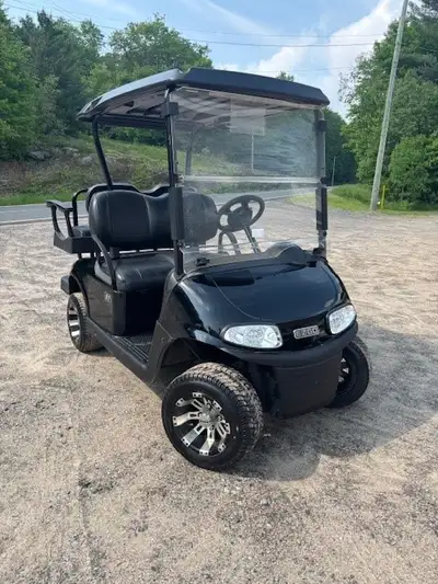 Enjoy Mobility to your summer fun, Golf Cart Rental, View more