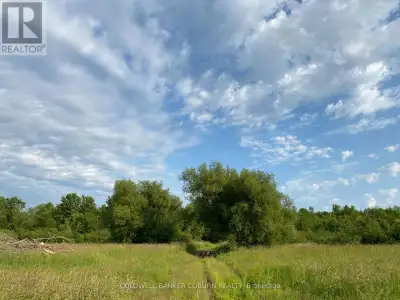 1 Acre building lot. The land is tile drained. If you're looking for a property with country charm y...