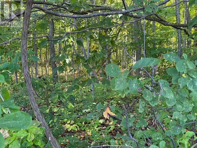 1315 CONCESSION 8 CONCESSION Kincardine, Ontario in Land for Sale in Owen Sound - Image 17