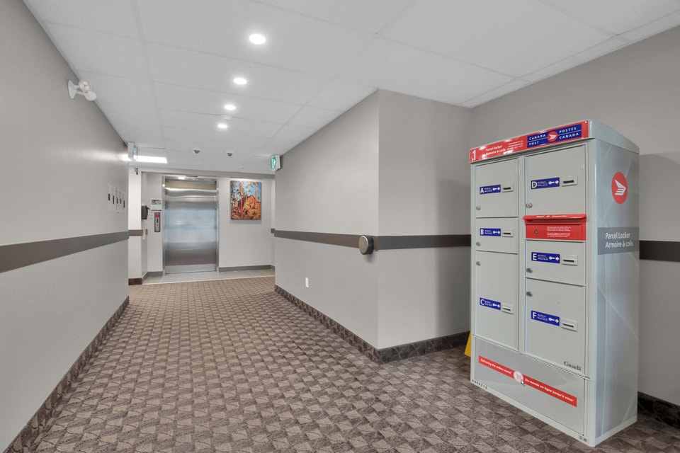 Ridgeway Suites Apartments - Quartz Apartment for Rent - Bellevi 4