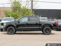 B&O Audio, Cooled Seats, Remote Start, Adaptive Cruise Control, Heated Steering Wheel, Running Board... (image 2)