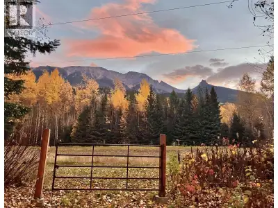 Set among a breathtaking old-growth forest with mountain views, this property offers a rare opportun...