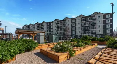 Pet-Friendly Two Bedroom Two Bath with In-suite Laundry for Rent, View more