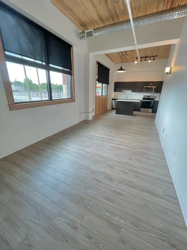* 1 BEDROOM /  1 BATHROOM / LOFT SUITE /1 YEAR LEASE* in Long Term Rentals in Winnipeg - Image 5