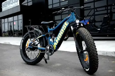 The Super ODIN X is a full suspension, 52V 500W mountain crusher, with a torque sensor, 4.8in. MAXXI...