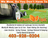 LawnTek Lawncare Service - Spring Cleanup!!!