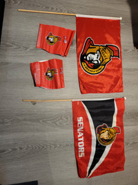 Ottawa Senator Flags and Water Wings