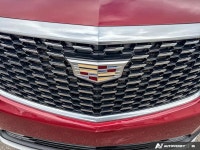 Low Mileage! On sale now! This vehicle was originally listed at $37899. We've marked it down to $339... (image 9)