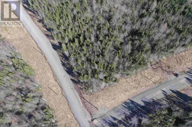 Lot 16 - Lower River Road Grantville, Nova Scotia in Land for Sale in Cape Breton - Image 4
