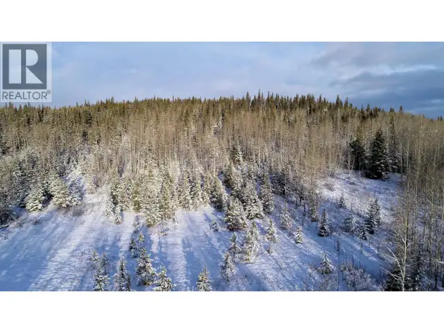 FRAC N1/2 DL 2557 BINTA ROAD Burns Lake, British Columbia in Land for Sale in Burns Lake - Image 9