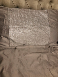 King Comforter Set - Metallic Beige and Silver
