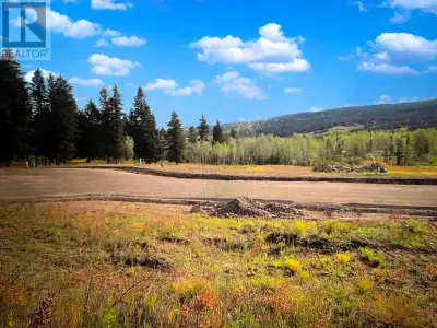 2.47 acre fully serviced view lot within walking distance of 100 Mile House - very private & serene...
