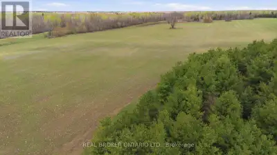 Stunning property with infinite possibilities. 128.23 acres with a mix of high and dry farmland and...