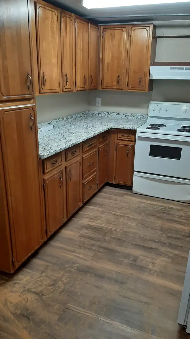 Downtown 2 bed, 1 bath available immediately!