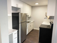 Squires Court - 2 Bedroom 1 Bath Apartment for Rent