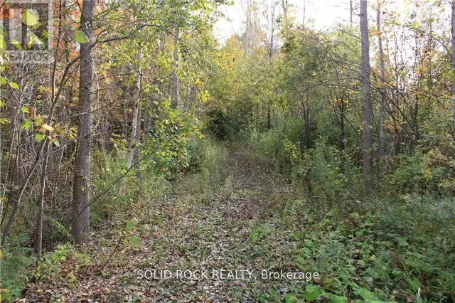 2209 JOCHEM ROAD Edwardsburgh/Cardinal, Ontario in Land for Sale in Woodstock - Image 6