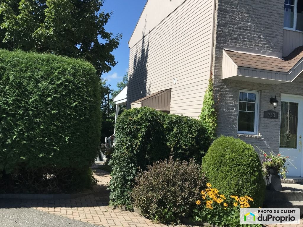 $418,000 - 2 Storey for sale in Ste-Marie — photo 3