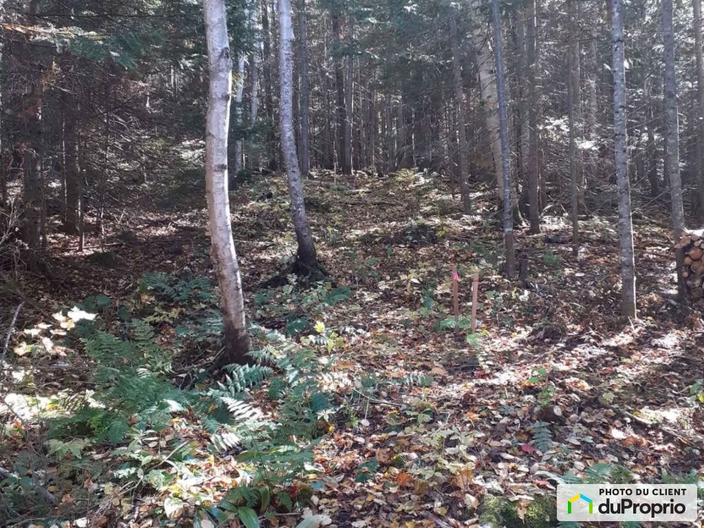 $49,500 - Residential Lot for sale in St-Cyrille-De-Lessard — photo 2