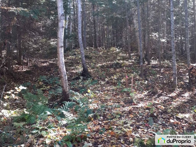 $49,500 - Residential Lot for sale in St-Cyrille-De-Lessard — photo 2