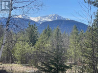 DL 2418 SALMON RIVER ROAD Hazelton, British Columbia Smithers Skeena-Bulkley Area Preview