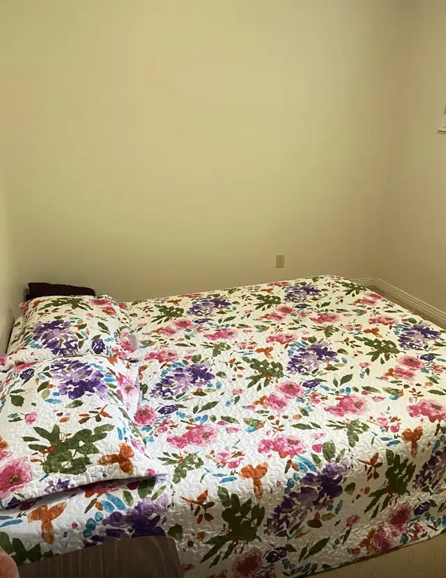 Room for rent for student or working professional female in Room Rentals & Roommates in Kitchener / Waterloo - Image 3