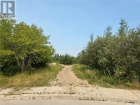 932 Quandt CRESCENT La Ronge, Saskatchewan La Ronge Saskatchewan Preview
