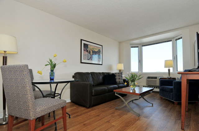 Large 1 Bedroom Apartment $1725 Available May 1st in Long Term Rentals in Ottawa