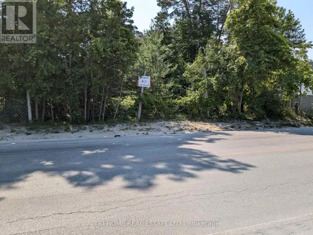 163 MOSLEY STREET Wasaga Beach, Ontario in Land for Sale in Oakville / Halton Region - Image 3