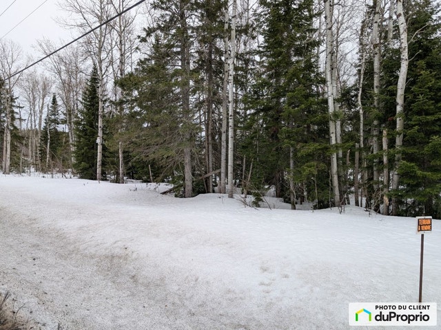 $35,000 - Residential Lot for sale in St-Jean-De-Dieu — photo 3