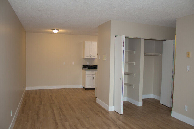 2 BD - Madison Apartments - 2 Bedroom Units starting from $1750 in Long Term Rentals in Kamloops - Image 3