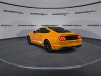 // ACCIDENT FREE!! // Turn every drive into an event in this used 2019 Ford Mustang EcoBoost Fastbac... (image 5)