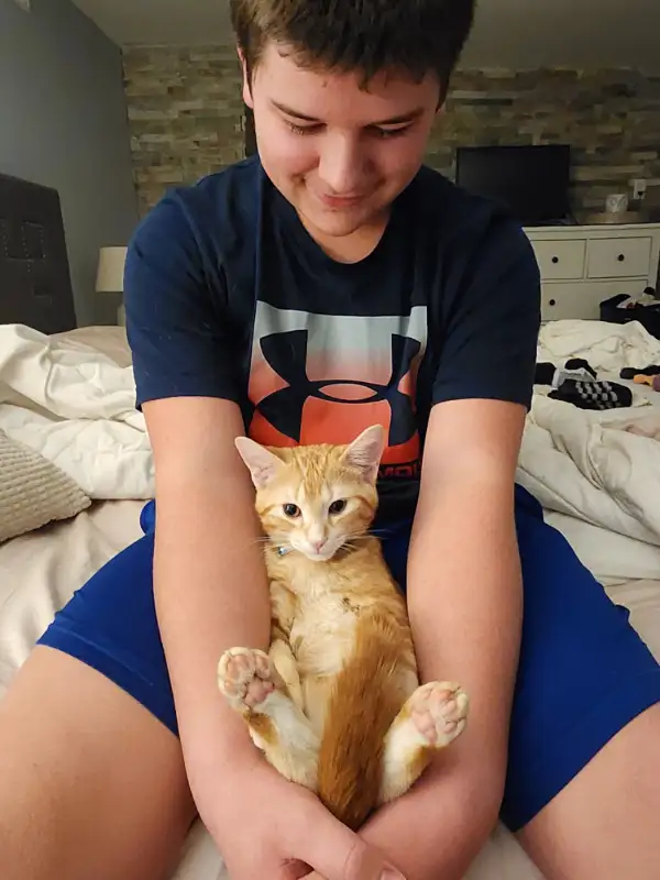 PET BOARD! Long term availability. Cats welcome! Book March brea in Animal & Pet Services in Hamilton - Image 2