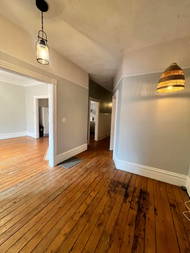 GORGEOUS 3 BR 1 BATH HALIFAX MAIN LEVEL FLAT AVAILABLE NOW! in Long Term Rentals in City of Halifax - Image 9