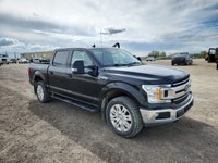 Michener Allen Auctioneering Ltd ( PV ) - Edmonton HIGH BID SUBJECT TO SELLERS APPROVAL CARFAX REPOR... (image 1)