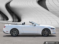 Come visit our London Kia team, you can find us at 1135 Wharncliffe Rd S, London, ON N6L 1J9, or cal... (image 5)