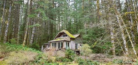 Block A Village Bay Lake in Houses for Sale in Campbell River - Image 3
