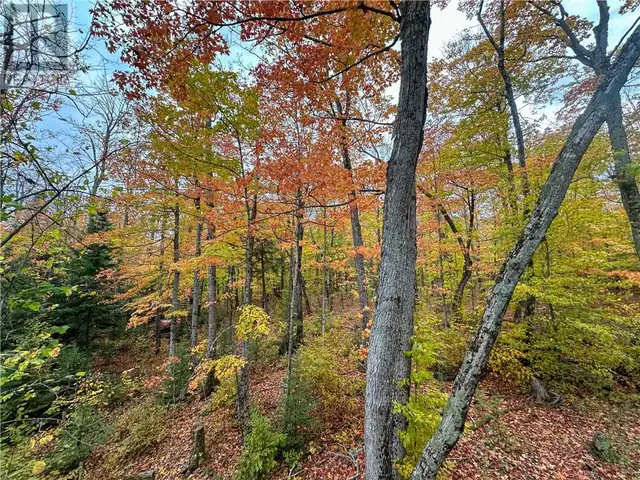 514C East Road Mindemoya, Manitoulin Island, Ontario in Land for Sale in Sudbury - Image 31