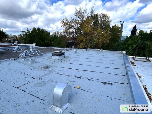 $930,000 - Duplex for sale in South-West Montreal — photo 2