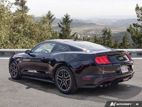 Welcome to Moncton Chrysler Jeep Dodge. Recent Arrival! 2022 Ford Mustang GT Premium 5.0L V8 Ti-VCT... (image 3)