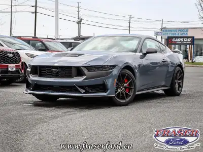 Dark Horse Fastback . Engine: 5.0 L/302