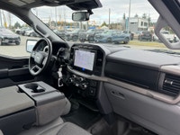 There is a reason the F-150 dominates Vancouver Island job sites and back roads. It is built for peo... (image 9)