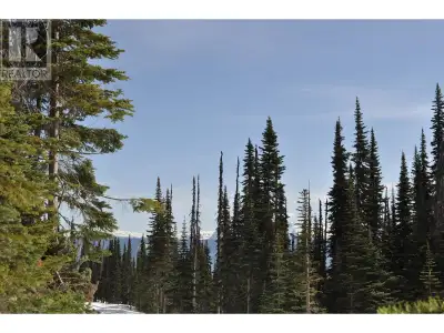 * PREC - Personal Real Estate Corporation. Live on Hudson Bay Mountain and ski to and from your door...