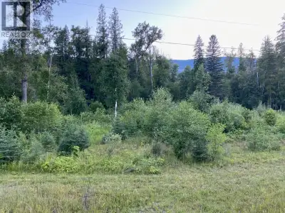 Great opportunity to own 160 acres in Edgewood! Inonoaklin River goes through corner of property clo...