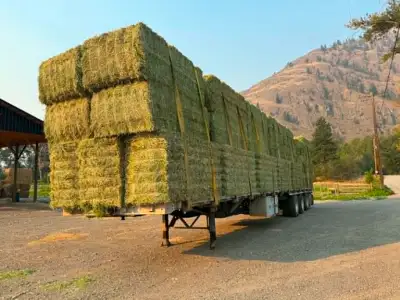 Alfalfa / timothy /  orchard grass mix hay, View more