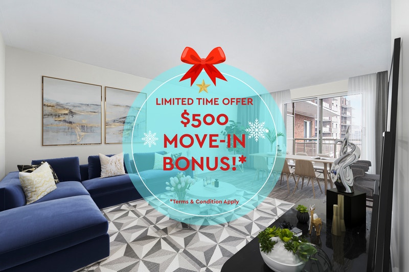 Cambridge Court Bachelor Apartment for Rent Long Term Rentals