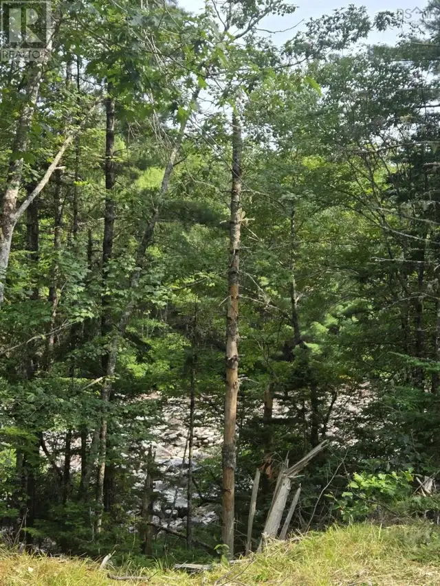 Highway 103 Sable River, Nova Scotia in Land for Sale in Yarmouth - Image 20