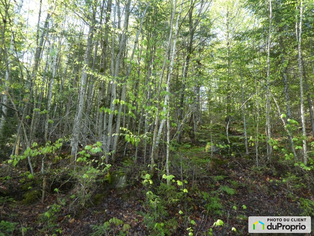 $319,000 - Price taxes not included - Residential Lot for sale — photo 3